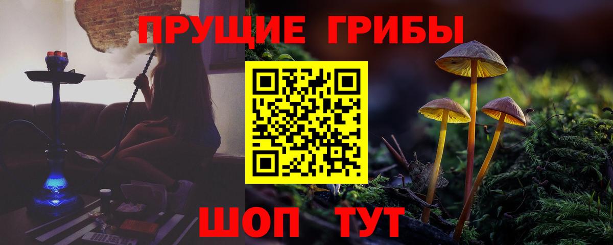 Барнаул  Псилоцибиновые грибы Magic Shrooms  Вход с VPN 